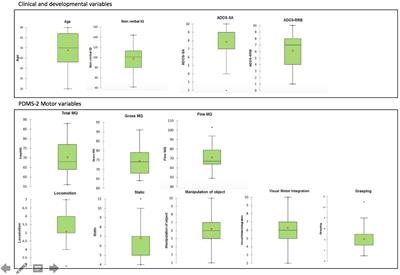 Motor Skills as Moderators of Core Symptoms in Autism Spectrum Disorders: Preliminary Data From an Exploratory Analysis With Artificial Neural Networks